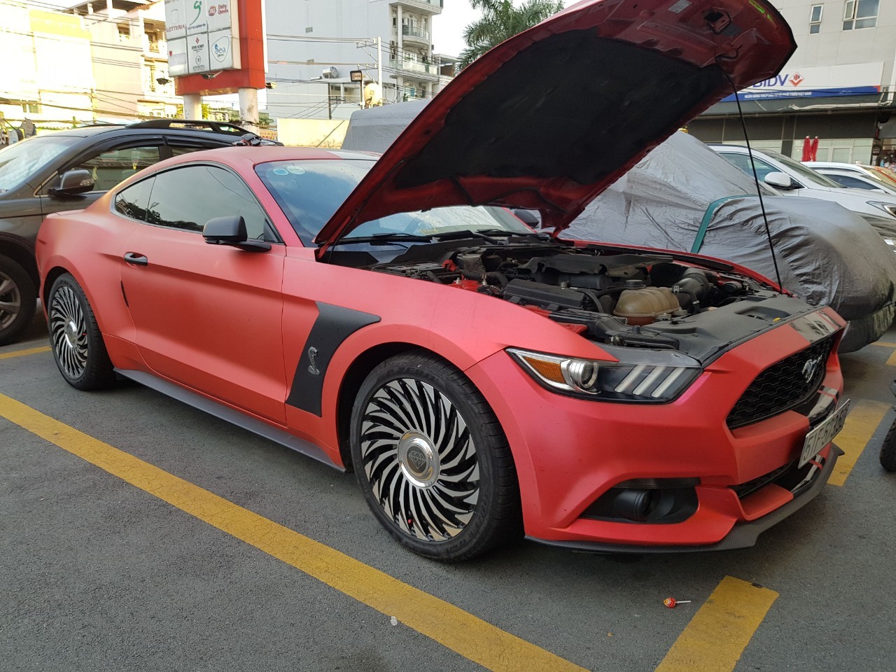 ẮC QUY ford Mustang