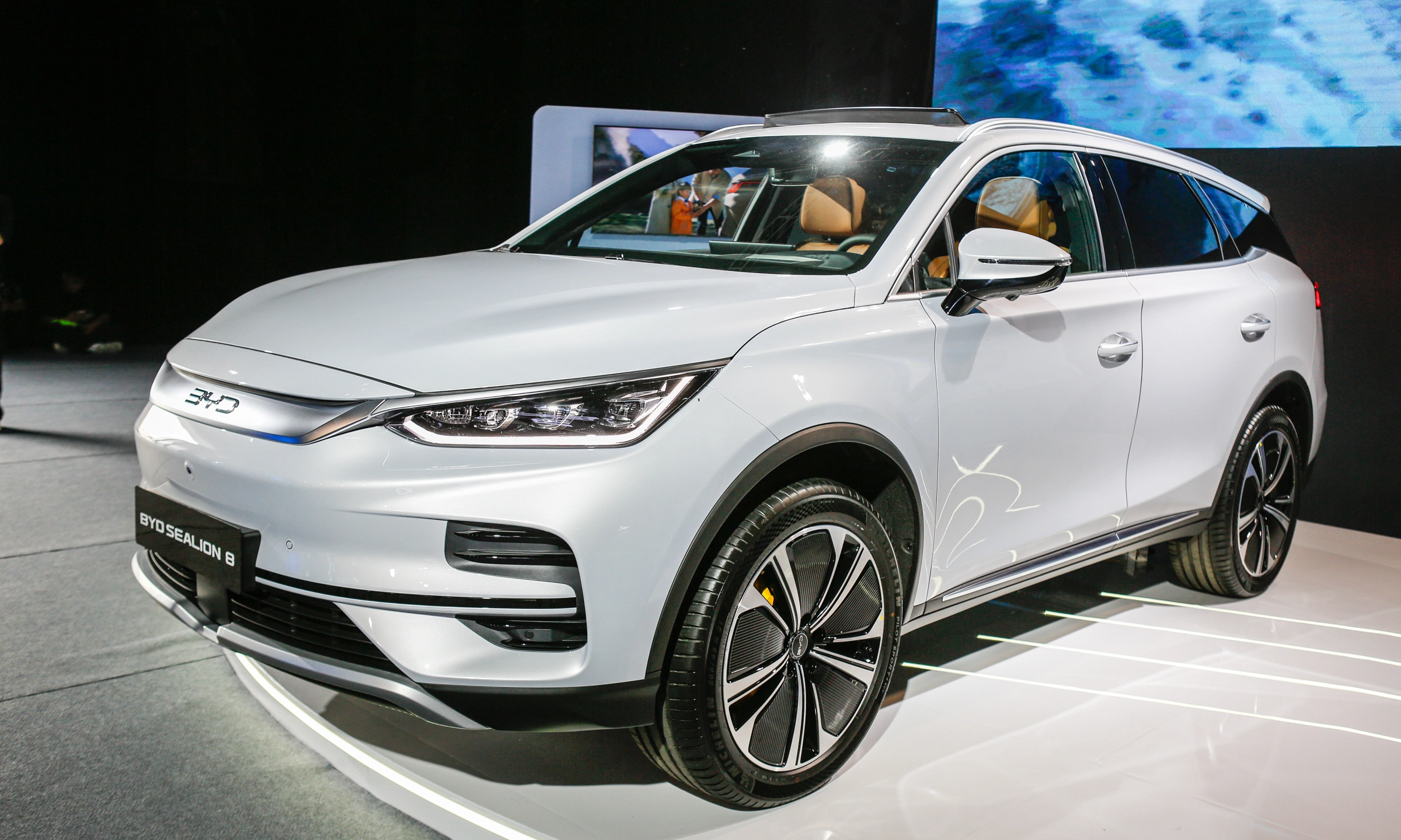   Ắc quy BYD Sealion 8