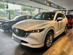 ẮC QUY Mazda cx-5